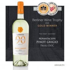 90 Ceppi Pinot Grigio Friuli DOC 0,75L