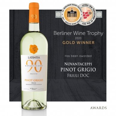 90 Ceppi Pinot Grigio Friuli DOC 0,75L 1