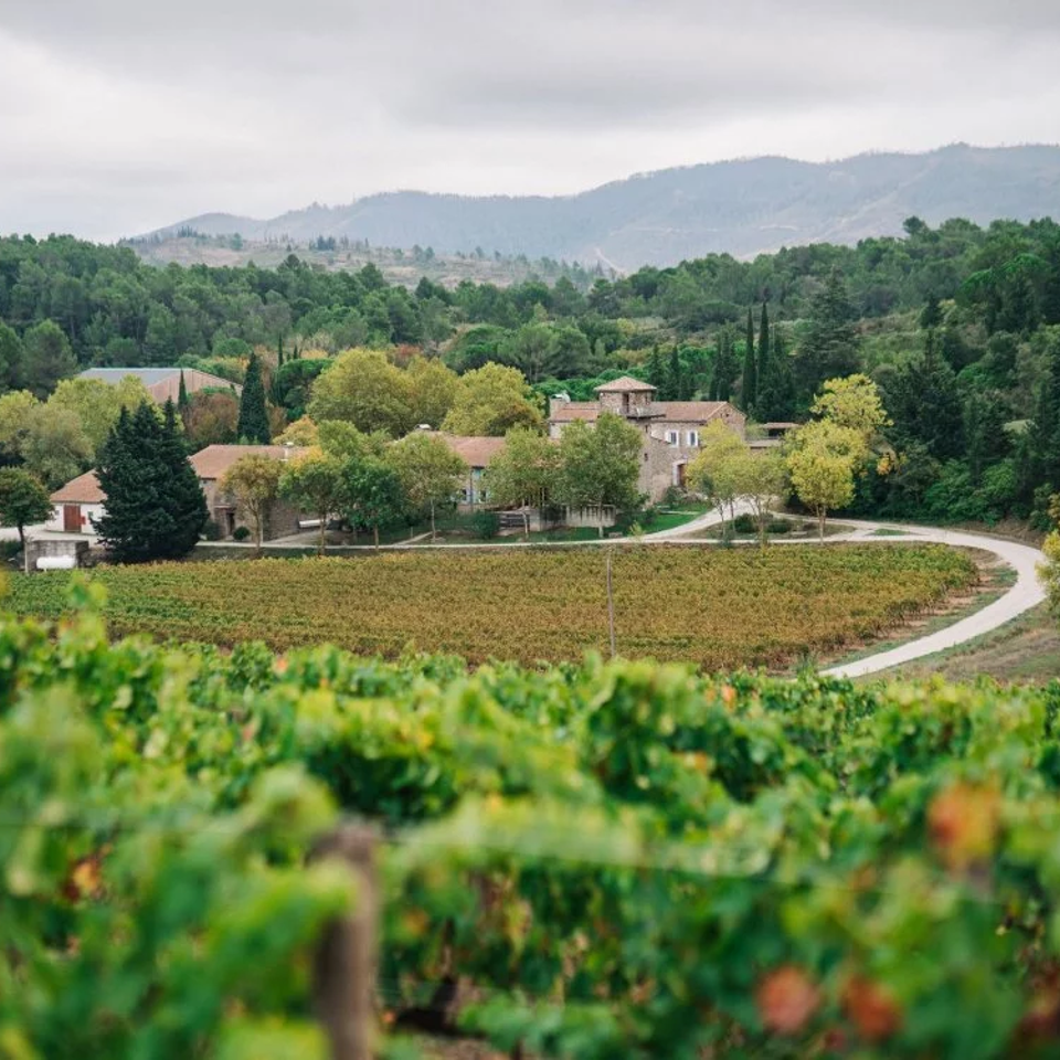 Ams Tram Gram Ca Petille Pet Nat Vin de France NV 2 Ams Tram Gram Ca Petille Pet Nat Vin de France NV 2
