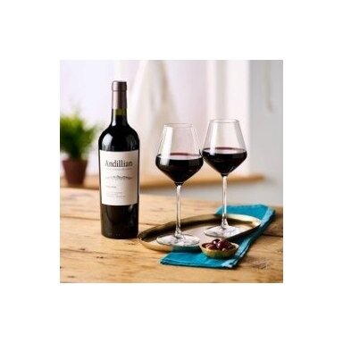 Andillian Malbec Uco Valley Los Chacayes IG 2024