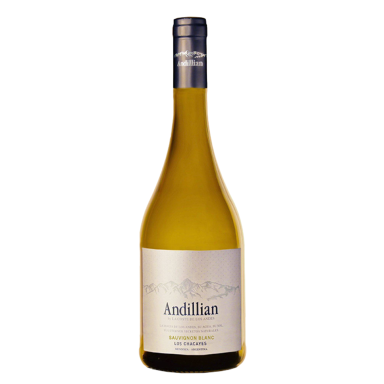 Andillian Sauvignon Blanc Uco Valley Los Chacayes IG 2024