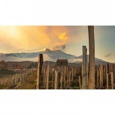 Benanti Contrada Monte Serra  Etna Rosso 2020 MAGNUM 1.5L
