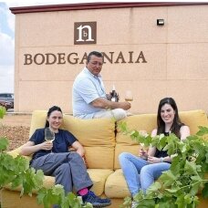 Bodegas Naia S-naia Sauvignon Blanc Rueda DO 2020 0,75L