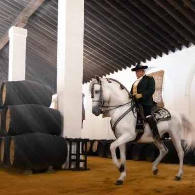 Bodegas Alvaro Domecq Fino La Janda Jerez DO 0,75L