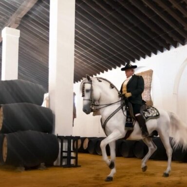 Bodegas Alvaro Domecq Vinagre de Jerez D.O.P. vyno actas