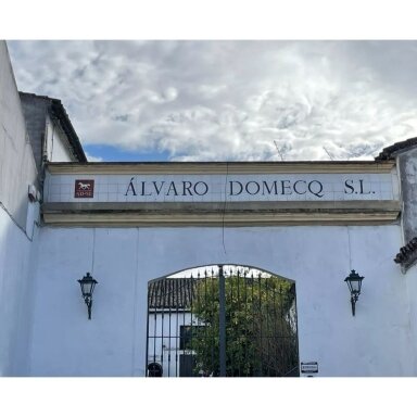 Bodegas Alvaro Domecq Pedro Jimenez Vina98 Jerez DO 0,75L