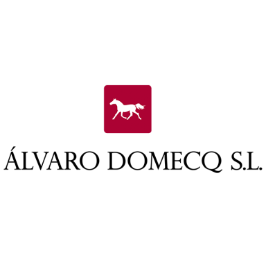 Bodegas Alvaro Domecq Veragua Reserva Brandy de Jerez 0,7L
