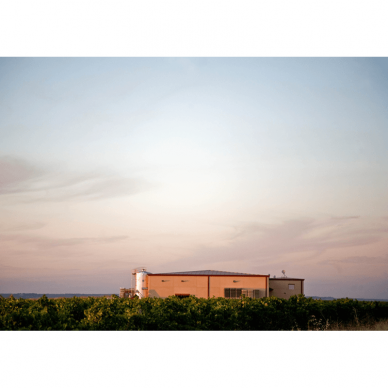 Bodegas Naia S-naia Sauvignon Blanc Rueda DO 2020 0,75L 4