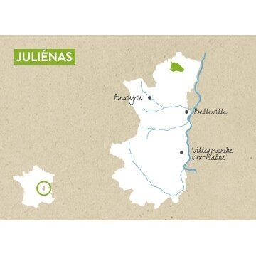 Cave de Fleurie Julienas AOC 2021 O,75L 3