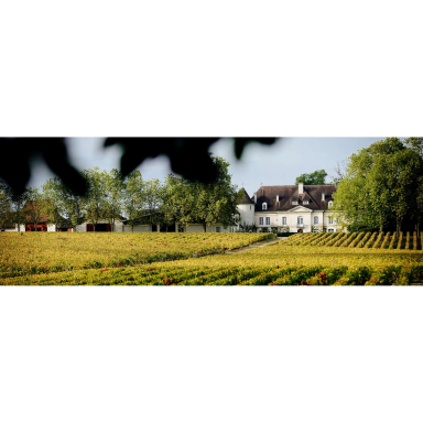 Chateau Bouscaut Pessac Leognan AOC 2016 0,75L Chateau Bouscaut Pessac Leognan AOC 2016 0,75L