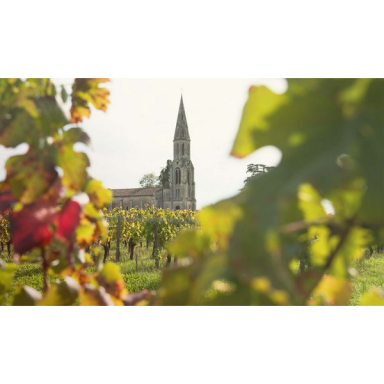 Chateau Vieux Maillet Pomerol AOC 2019 0.75L Chateau Vieux Maillet Pomerol AOC 2019 0.75L