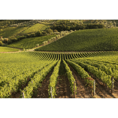 Chavin Zero Cabernet Sauvignon Merlot Vin de France dealcoholized wine 0,75L