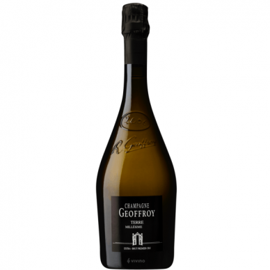 Champagne Geoffroy Terre Premier Cru Extra Brut 2008 0,75L su dėžute