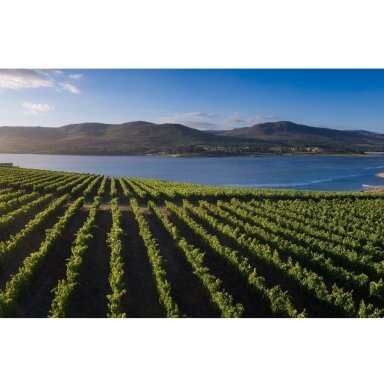 Creation Cool Climate Chenin Blanc  Walker Bay 2021 0,75L