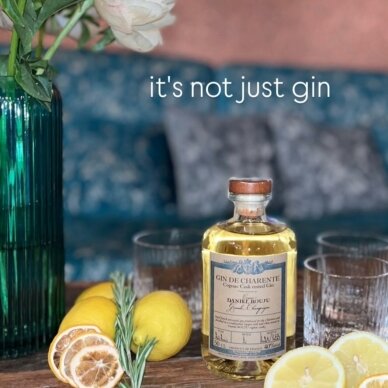Daniel Bouju Gin de Charente 40% 0,5L 1