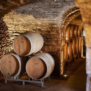 Degustacija BURGUNDIJOS RAUDONIEJI | 2026 10 15 3
