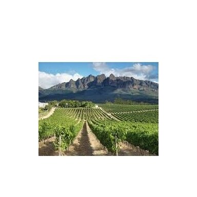 Diemersfontein Cabernet Sauvignon Western Cape 2015 0,75L