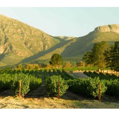 Diemersfontein The Original Pinotage Wellington 2021 0,75L
