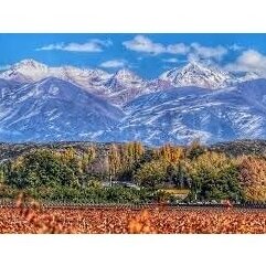 Domaine Bousquet Premium Chardonnay/Torrontes Tupungato Uco Valley Mendoza 2022 0,75L 2