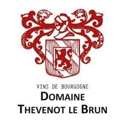 Domaine Thevenot Le Brun Clos du Vignon Hautes Cotes de Nuits AOC 2018 0,75L 7