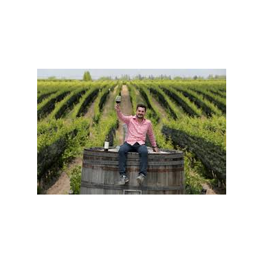 Domaine Bousquet Gran Organic Chardonnay 2022