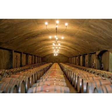 Domaine Bousquet Premium Malbec Tupungato Uco Valley MAGNUM 1,5