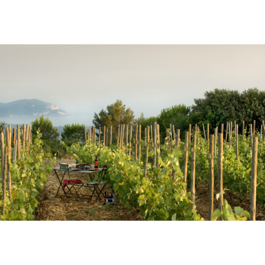 Domaine de La Begude Bandol Rouge AOC 2020 0.75L