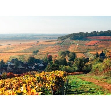 Domaine Thevenot Le Brun Clos du Vignon Hautes Cotes de Nuits AOC 2020 1,5L MAGNUM