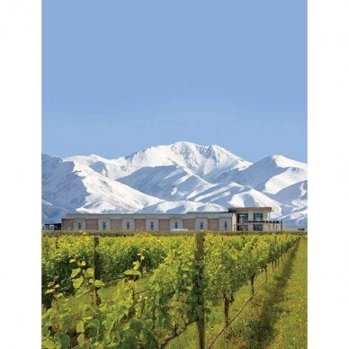 Domaine Bousquet Premium Chardonnay Tupungato Uco Valley Mendoza 2022 0,75L 1