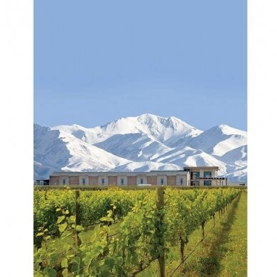 Domaine Bousquet Premium Chardonnay/Torrontes Tupungato Uco Valley Mendoza 2022 0,75L 1