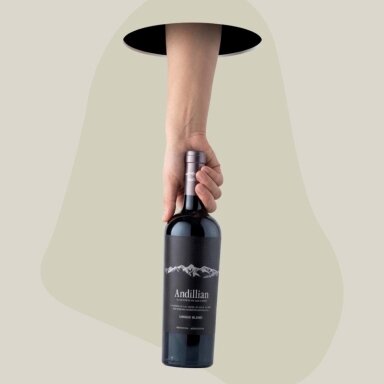 Andillian Unique Blend Rouge Uco Valley 2022