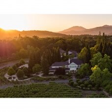 Duckhorn Vineyards Napa Valley Chardonnay 2019