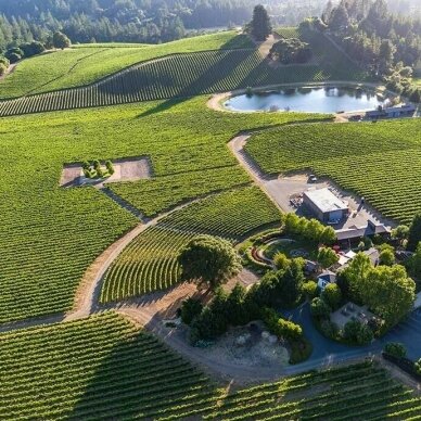 Duckhorn Vineyards Napa Valley Chardonnay 2019 2
