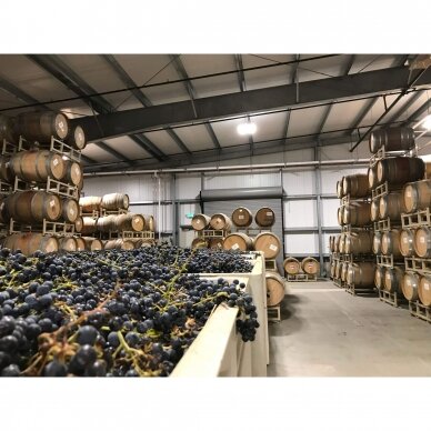 Duckhorn Vineyards Napa Valley Chardonnay 2019 3