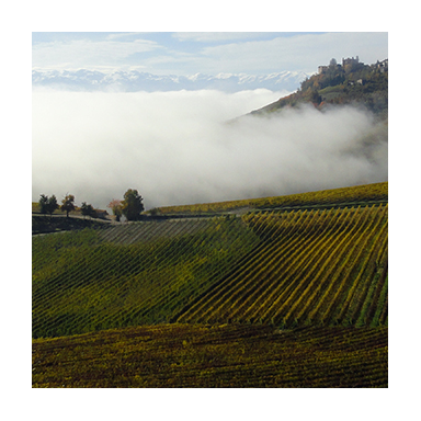 Il Valentiano Brunello di Montalcino Riserva DOCG 2016