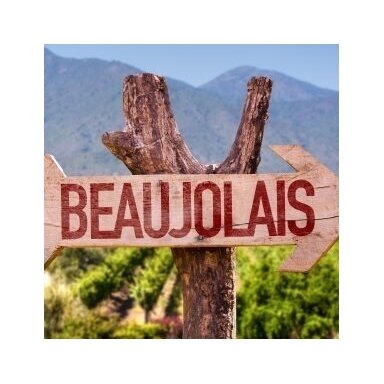 Domaine des Maisons Neuves Beaujolais Villages Nouveau AOC 2025 0,75L