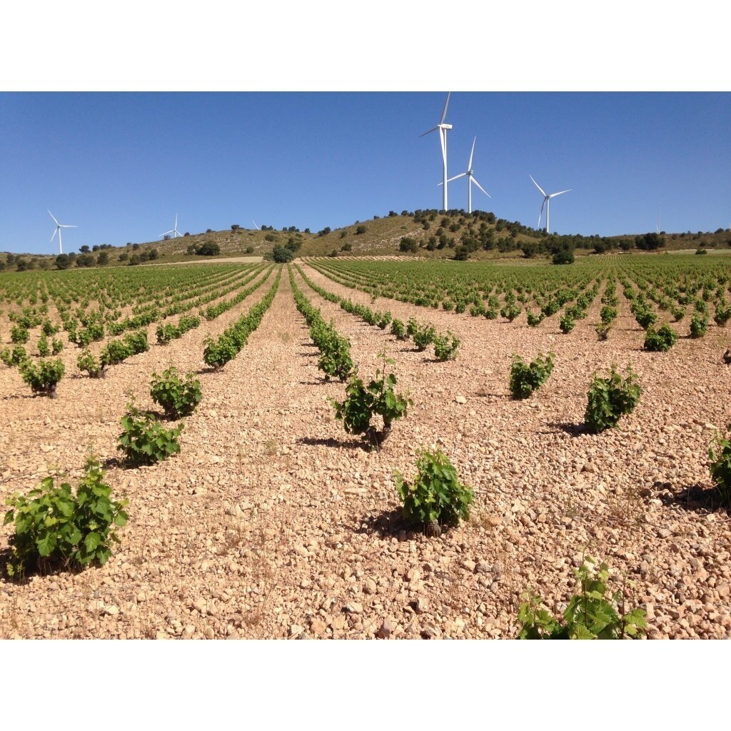 Laderas de Romeo Monastrell Jumilla DO 0,75L 2