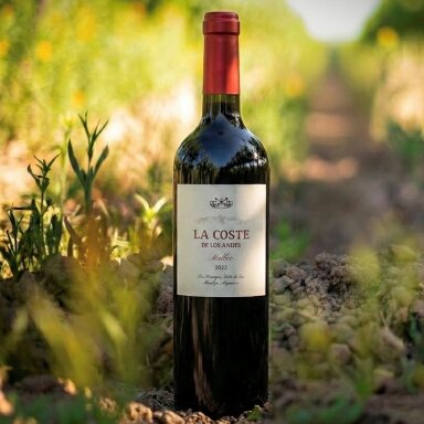 La Coste de Los Andes Malbec Uco Valley 2023