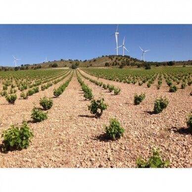 Laderas de Romeo Monastrell Jumilla DO 0,75L 2