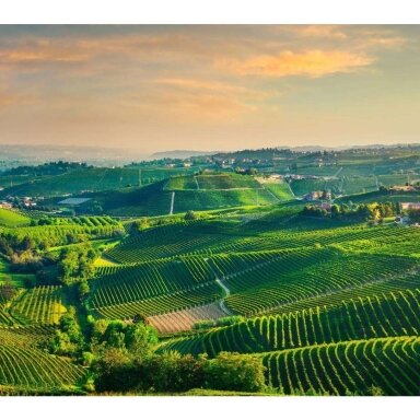 Marchese Dalmasso Barbaresco DOCG 2022
