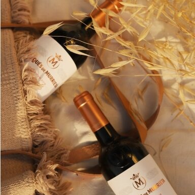 Marques de Murrieta Rioja Reserva DOCa MAGNUM 2019 1.5L