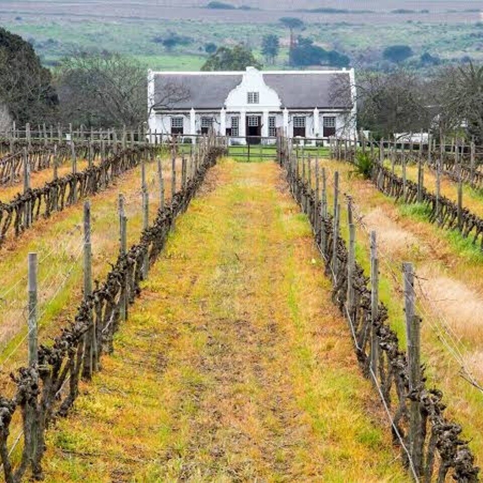 Meerlust Estate Rubicon 2023 2 Meerlust Estate Rubicon 2023 2