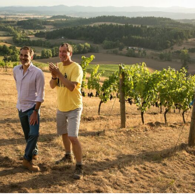 Nicolas Jay & Meo Camuzet Pinot Noir Willamette Valley 0,75L 2016 Nicolas Jay & Meo Camuzet Pinot Noir Willamette Valley 0,75L 2016
