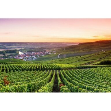 Pierre Bertrand Chardonnay Coteaux Champenois AOC 2022 0,75L Pierre Bertrand Chardonnay Coteaux Champenois AOC 2022 0,75L