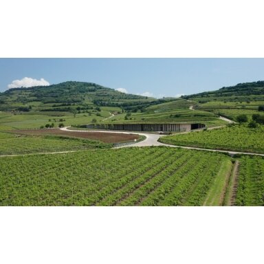 Pieropan Soave Classico DOC 2021 MAGNUM 1.5L