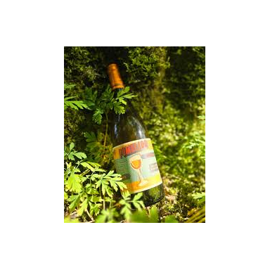 Pomelado Orange Wine Vino de la Terra de Castilla IGP