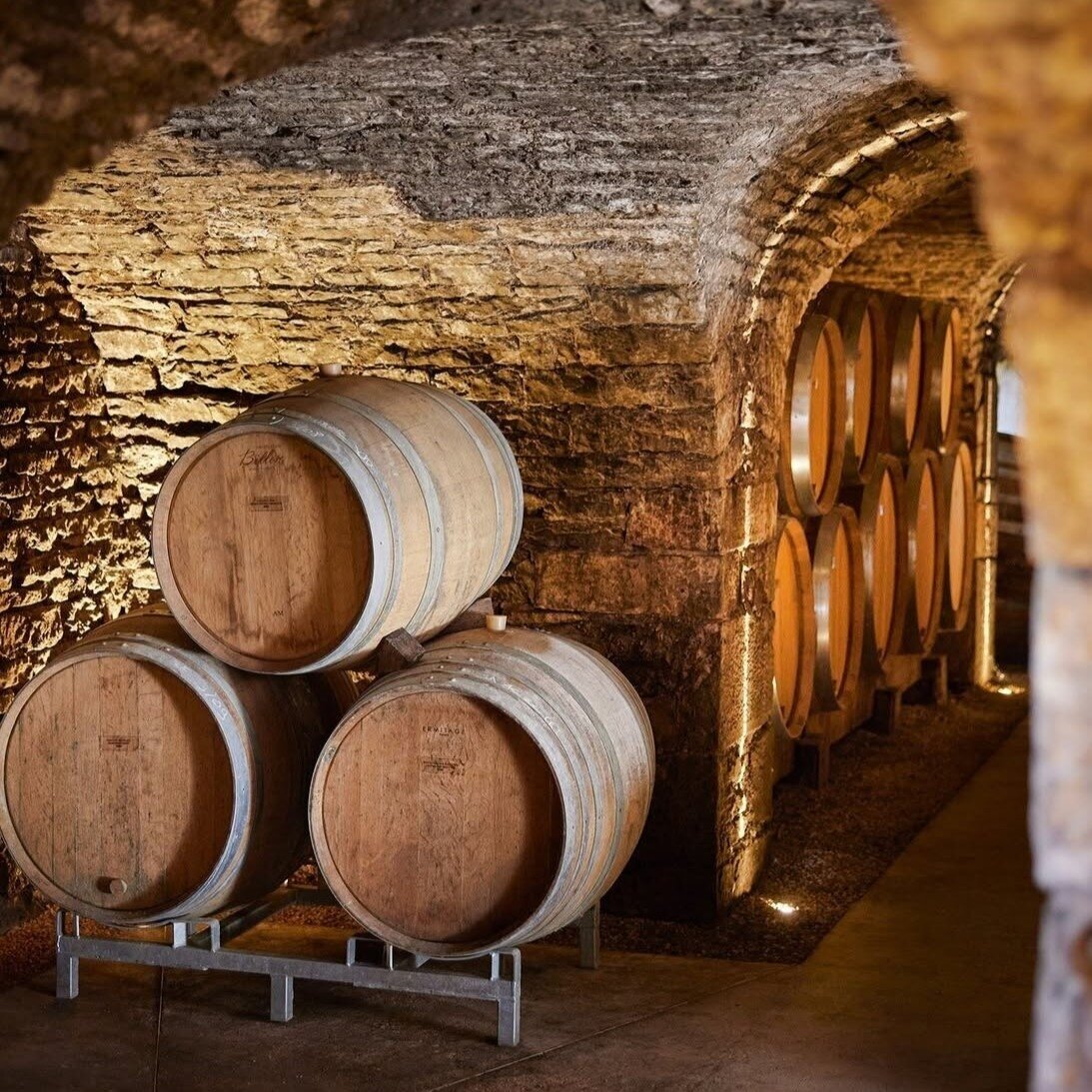 Prosper Maufoux Gevrey Chambertin AOC 2023 2