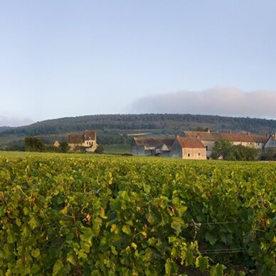 Prosper Maufoux Blanchot Dessous Chassagne Montrachet AOC 2