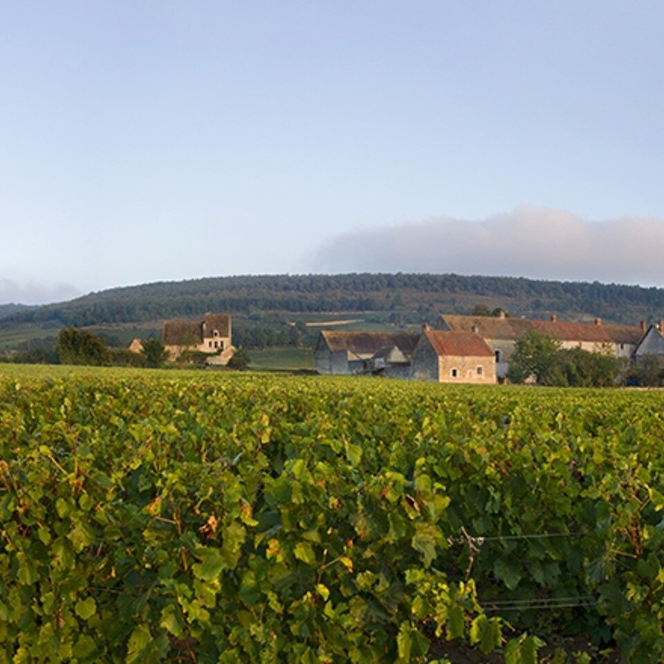 Prosper Maufoux Blanchot Dessous Chassagne Montrachet AOC 2 Prosper Maufoux Blanchot Dessous Chassagne Montrachet AOC 2