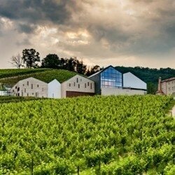 Sacchetto Millesimato Spumante Extra Dry 2025 2